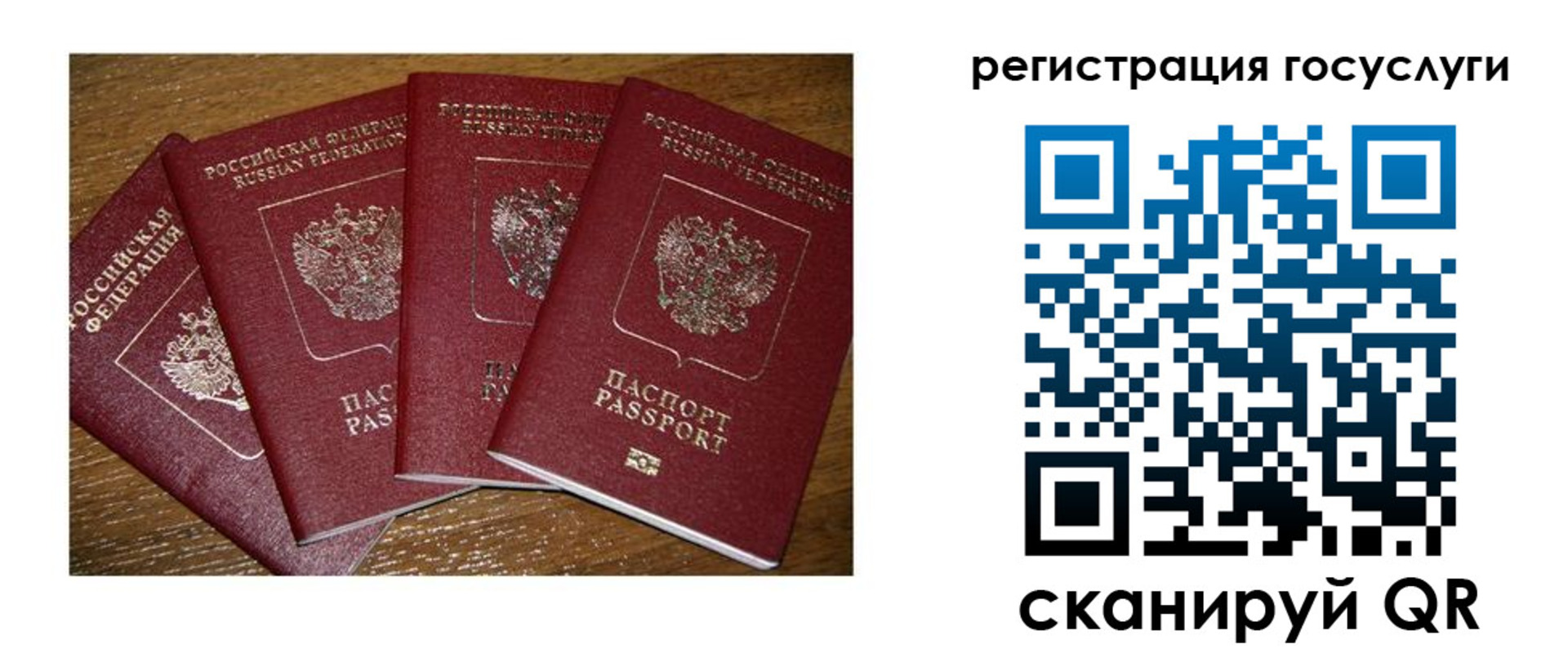 временная регистрация гарантия в Звенигово