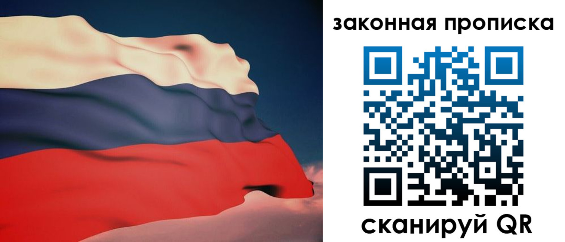 прописка законно в Звенигово