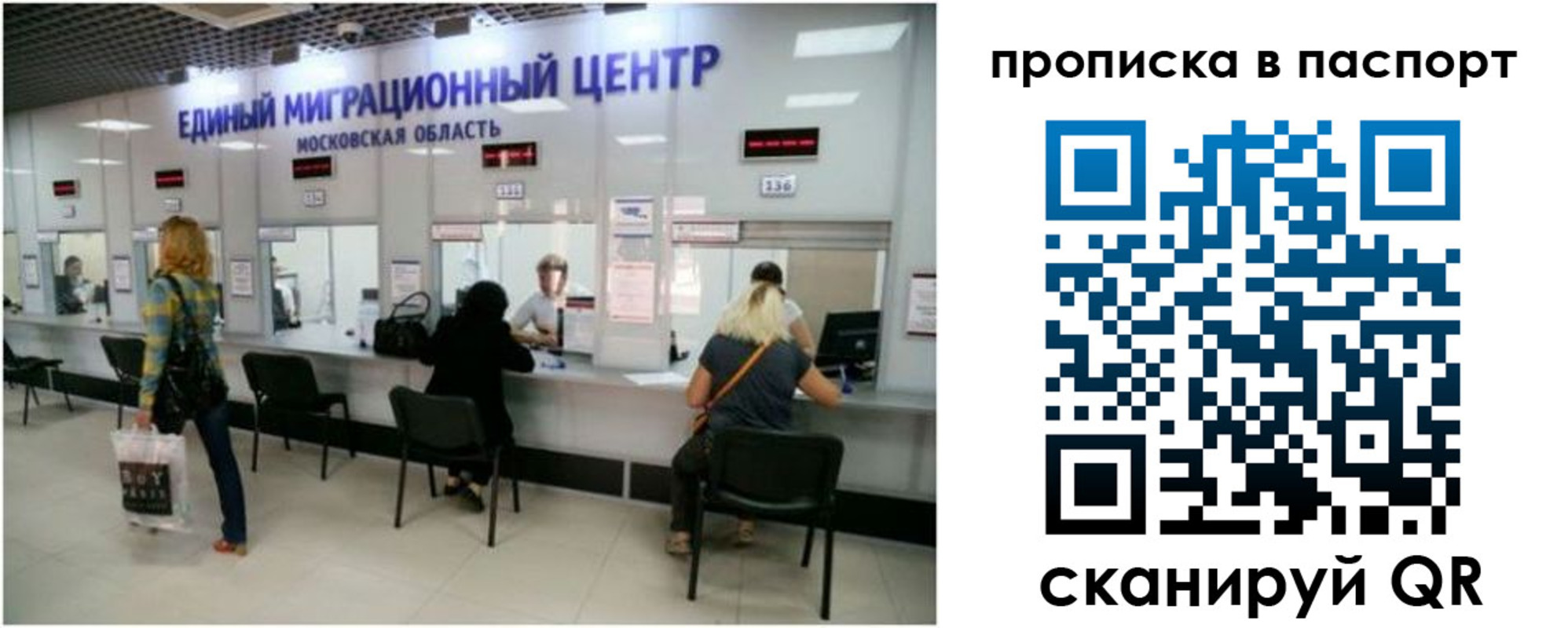 прописка в Звенигово